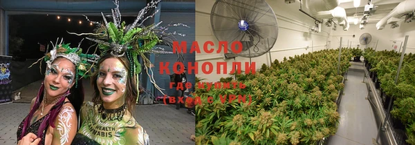 дживик Абаза